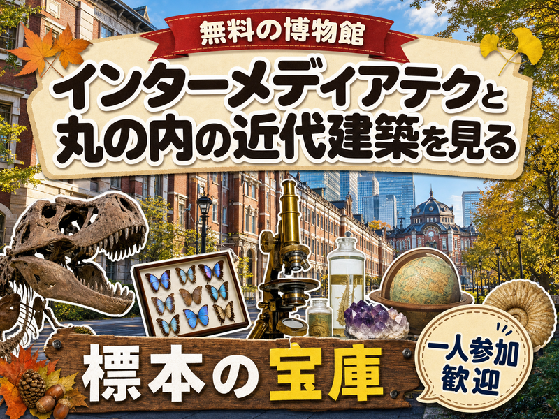【無料の博物館】インターメディアテクと丸の内の近代建築を見る🏛標本の宝庫