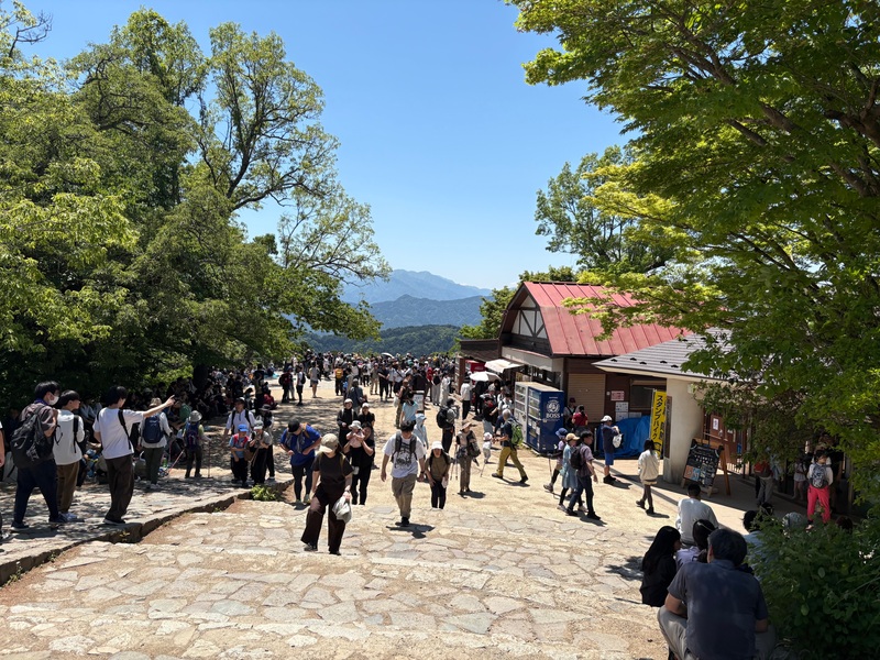 【9/12(土) 高尾山ハイキング🏔️】夏の終わりを満喫する新緑＆もみじ台ランチ体験✨