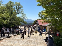 【9/12(土) 高尾山ハイキング🏔️】夏の終わりを満喫する新緑＆もみじ台ランチ体験✨少人数制。