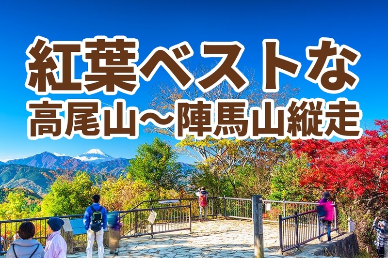 【たまトレオリジナル紅葉特別企画】11月22日日曜、紅葉の秋🍁、陣馬山から高尾山縦走！初中級、初級者ステップアップ♪