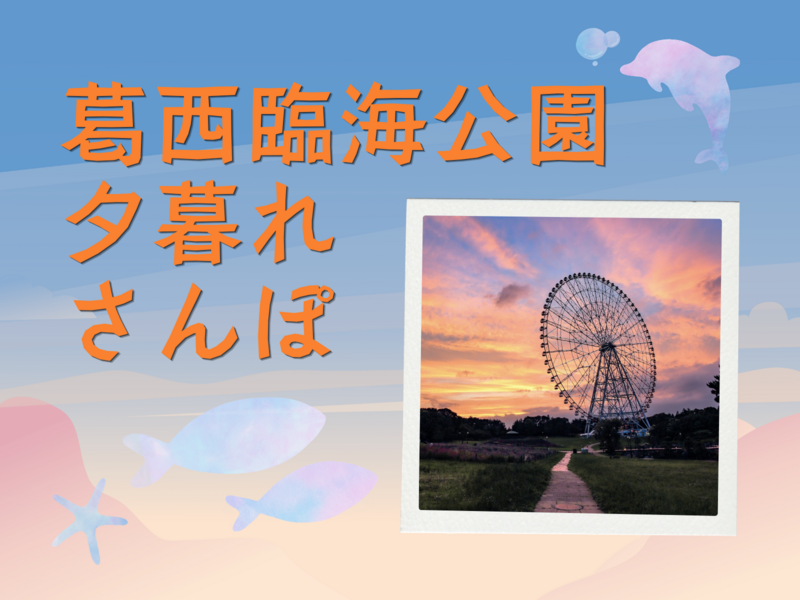 【20代主催】葛西臨海公園で夕暮れさんぽ🚶