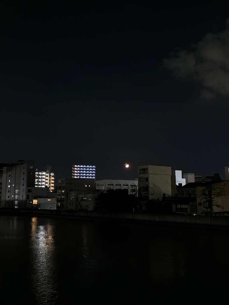 【9/5(土)大阪・中之島🌃】女性限定！！
幻想的夜景を楽しむ中之島1周ナイト散歩企画💐