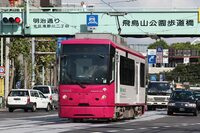 【30代中盤〜40代中心】都電荒川線周辺公園・庭園散歩&ランチ