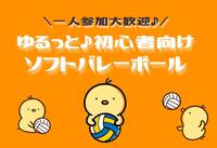 【初心者歓迎‼️】みんなで楽しくソフトバレー🏐
