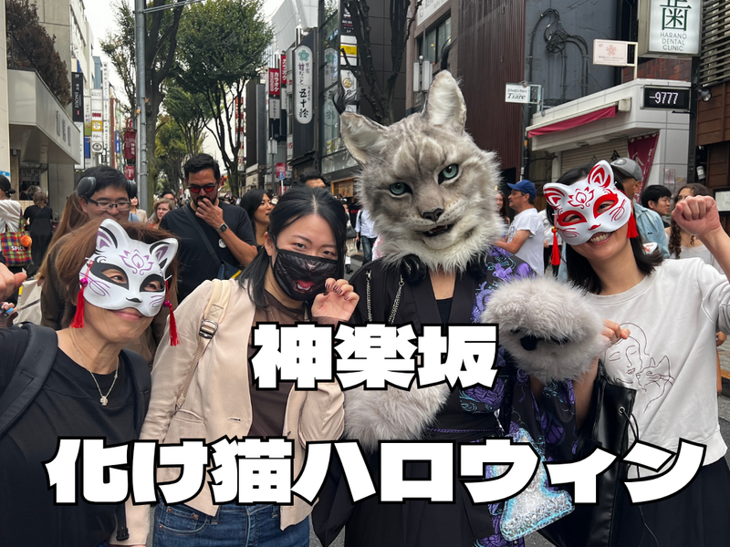10/11今年で3年目‼️化け猫in神楽坂‼️日本風ハロウィンはやはり化け猫