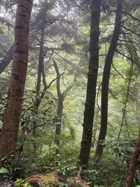 【10月8日 平日高尾山⛰️】秋の空気とともに思考整理！少人数限定・大人のためのリトリート
登山⛰️✨