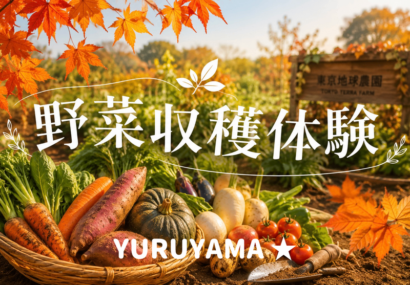 11/1 【楽しさ満載！野菜収穫体験】採って、食べて、楽しもう！東京地球農園で秋の農業体験