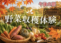 11/1 【楽しさ満載！野菜収穫体験】採って、食べて、楽しもう！東京地球農園で秋の農業体験