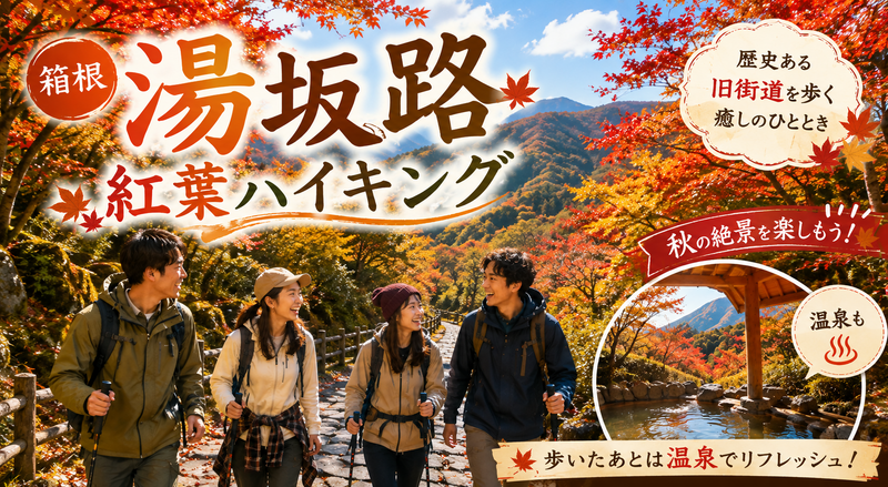 箱根・湯坂路🍁秋の箱根の紅葉と澄んだ空気を感じよう！！
駅からスタートです⭐️