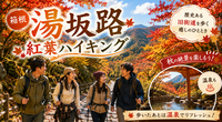 箱根・湯坂路🍁秋の箱根の紅葉と澄んだ空気を感じよう！！
駅からスタートです⭐️
