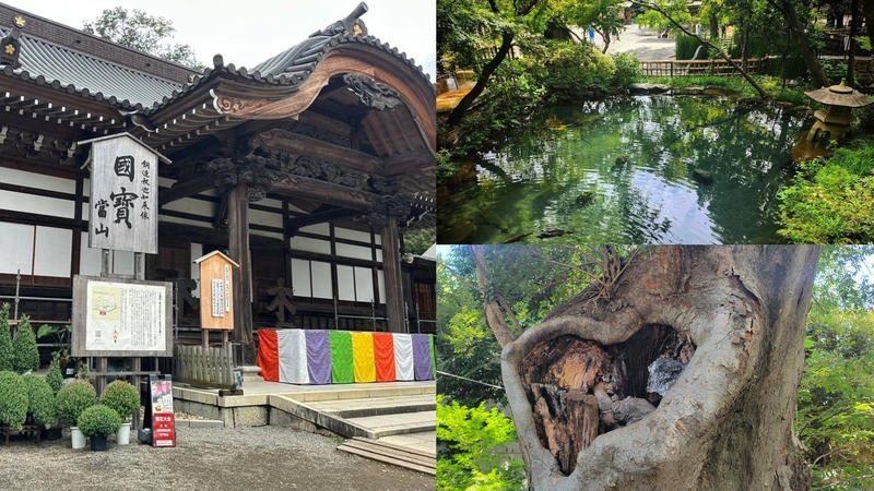 【女性主催】深大寺とハート型御神木がある神社に行こう！