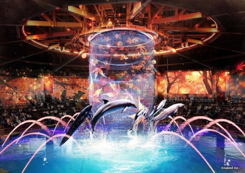 アクアパーク品川水族館の秋限定🍁紅葉に彩られたイルカショーを見に行こう！