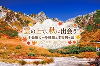 【初級ルートで安心】雲の上で、秋に出会う！千畳敷カール紅葉と木曽駒ヶ岳⛰️