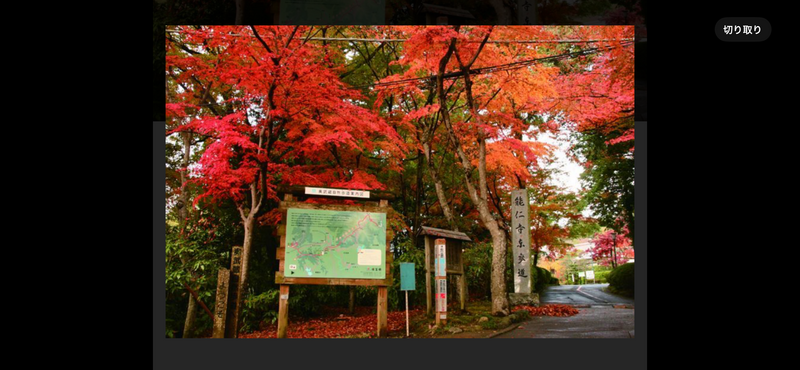 🍁池袋から電車で50分埼玉県飯能市河原と低山登山イベント秋の散策遠足🚶