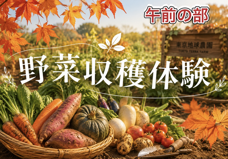 11/1 【楽しさ満載！野菜収穫体験】採って、食べて、楽しもう！東京地球農園で秋の農業体験