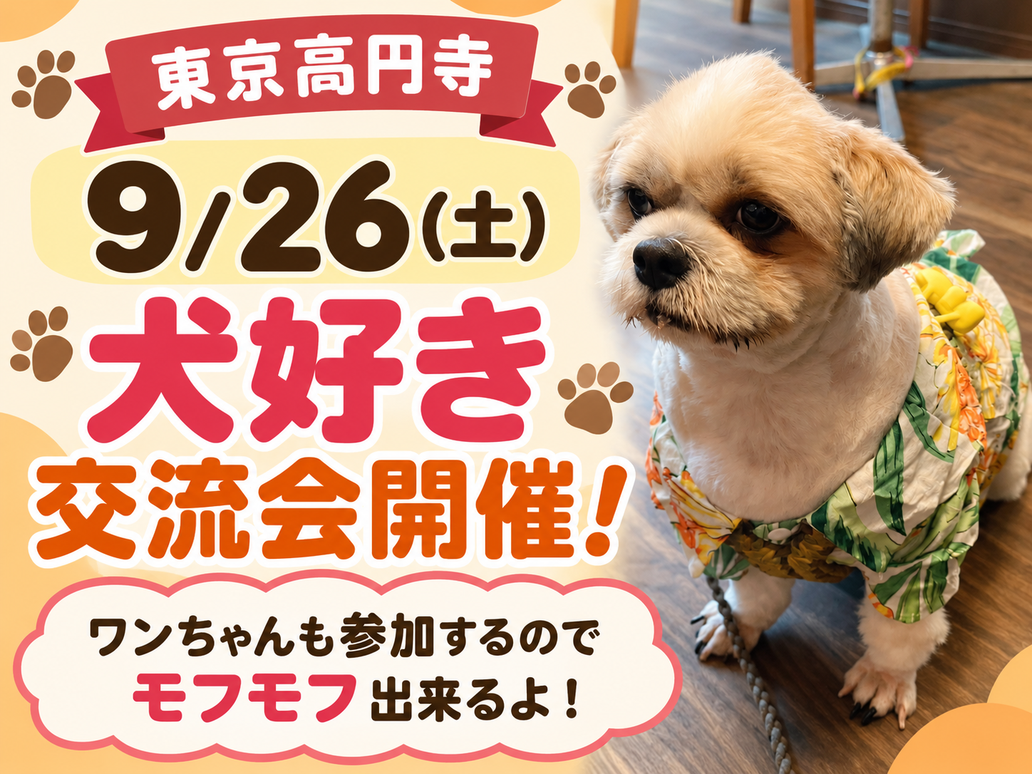 犬好き交流会。ワンちゃんも参加するのでモフモフ出来るよ！犬好き同士友達作ろう！ワンちゃんとの参加もオッケー！ペット動物♪