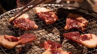 新宿から30分！焚火と焚火でジビエを焼いて食べる会【54回】
