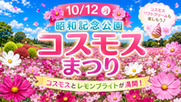 【10月12日(月)・昭和記念公園🌼】満開コスモス&レモンブライト鑑賞！コキアの絶景も楽しめる限定イベント✨