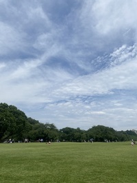 公園ヨガで気持ちも身体もリフレッシュ🧘🏻🌳🌿