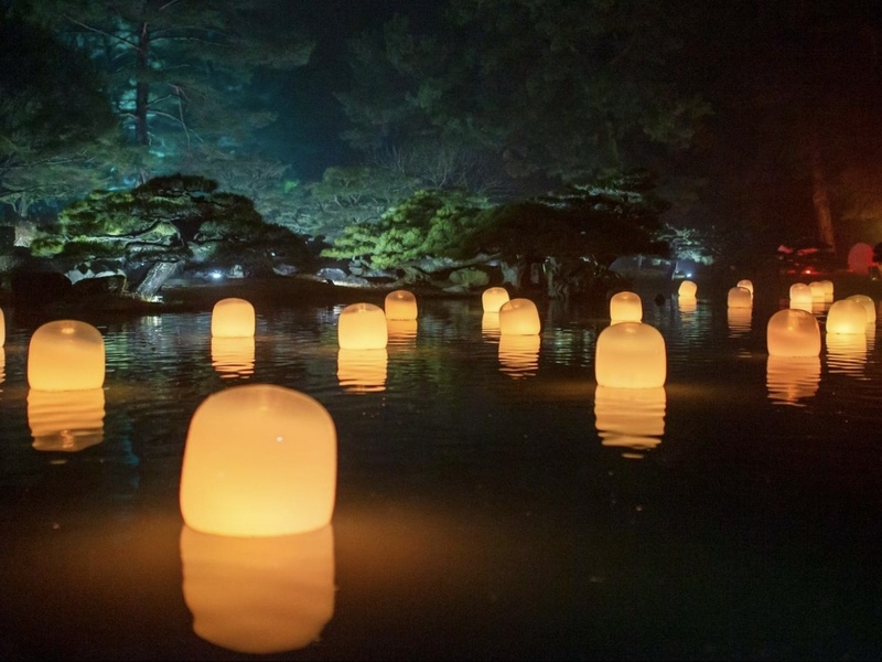 【幻想的な夜🌌】長居公園のチームラボに行こう✨   29歳以下限定！