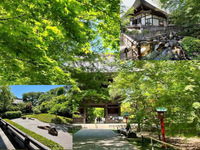 【自然に囲まれた寺院を参拝＆昭和喫茶！】9/12 15時半　九品仏浄真寺～喫茶二十世紀【常連の方参加費還元！】