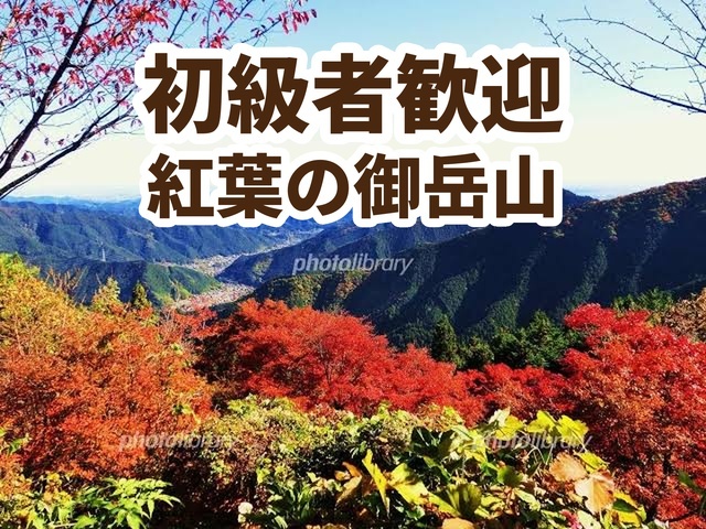 初級者歓迎！【御岳山】紅葉のロックガーデン🍁滝巡りハイキング〜清流とパワースポットを歩く〜リベンジ