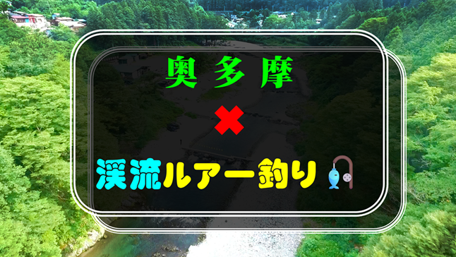 【初心者の方歓迎】奥多摩✖︎渓流ルアー釣り🎣