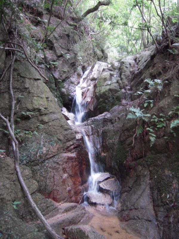 沢登りに行ってみよう🧗‍♂️🧗‍♀️