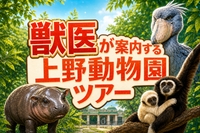 【🔰初参加大歓迎】🐼獣医が案内する上野動物園ツアー🦁