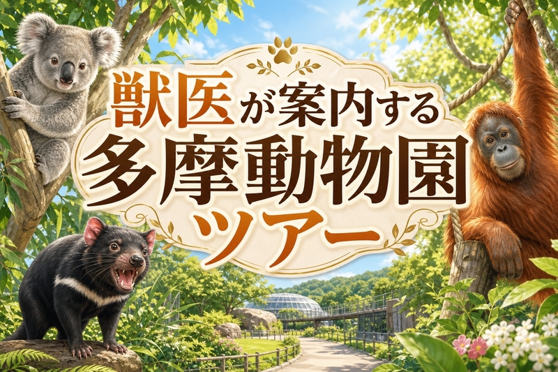 【🔰初参加大歓迎】🐯獣医が案内する多摩動物園ツアー🦁