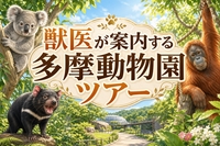 【🔰初参加大歓迎】🐯獣医が案内する多摩動物園ツアー🦁