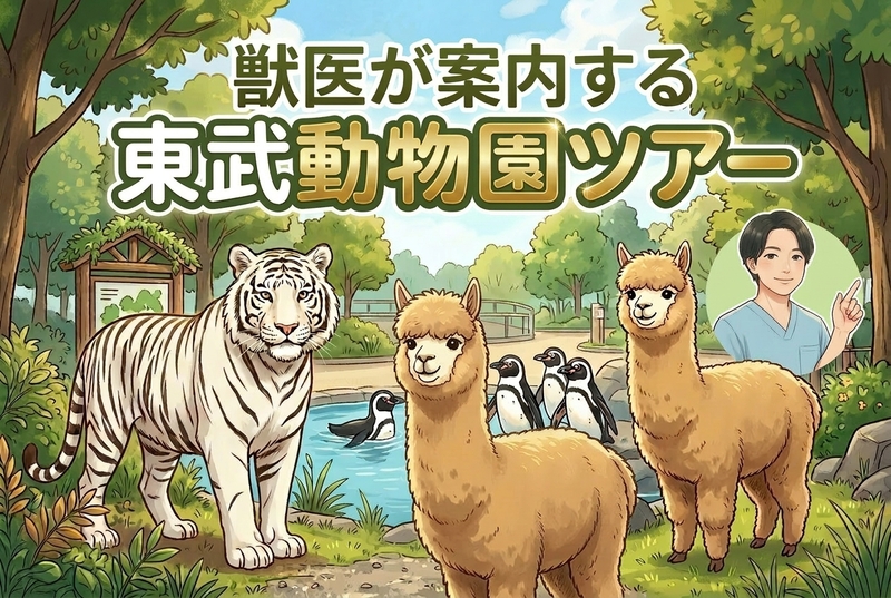 【🔰初参加大歓迎】🐅獣医が案内する東武動物園ツアー🦙