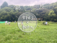 昆虫採取×朝カフェ in 代々木公園