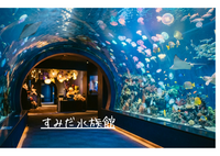 【早割】1人参加OK🌸すみだ水族館でおでかけ交流会（20代30代）