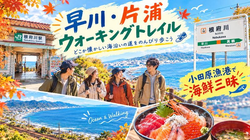 神奈川県早川・片浦ウォーキングトレイル🚶‍♂️✨自然満喫！秋空ウォーキングと海鮮漫喫🐟️