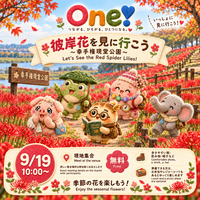 【🌺🌿 彼岸花を見に行こう〜幸手権現堂公園〜】