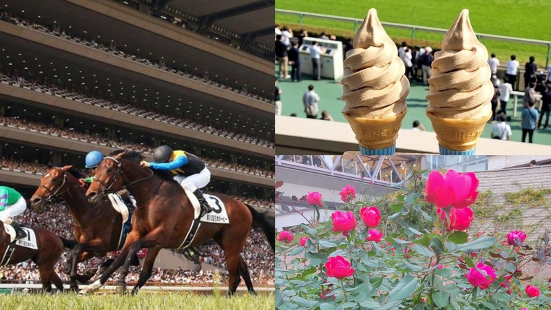 【女性主催】東京競馬場で競馬と薔薇とピクニック楽しもう！