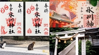 【女性主催】猫ちゃんがいる白金氷川神社の例大祭とアニメの舞台になった神社などみんなで行こう！