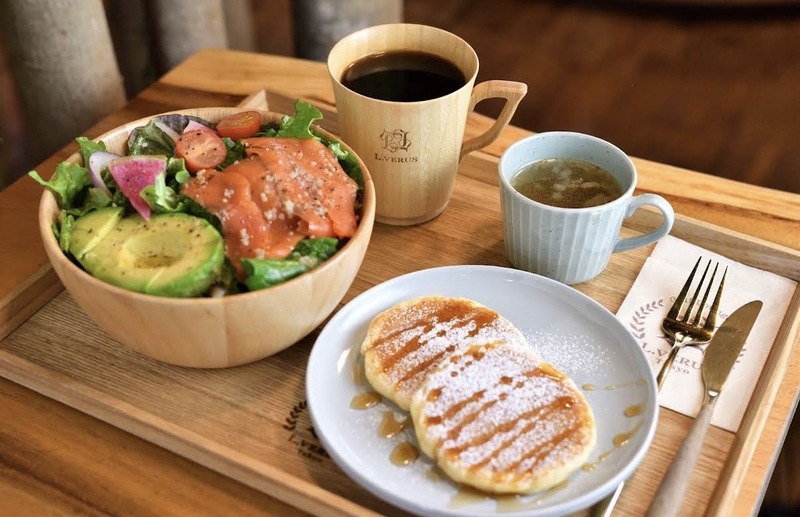【新宿】まるで森の中🌿本物のフクロウがいる癒しカフェで朝カフェ会☕️（初参加歓迎）