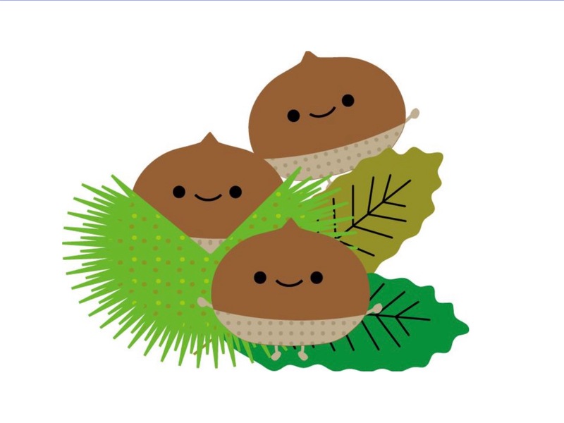 🌰秋のモンブランタルト作り♡お菓子作り会🥧