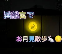【女性主催】浜離宮恩恵庭園でお月見散歩しよう🐇🌕