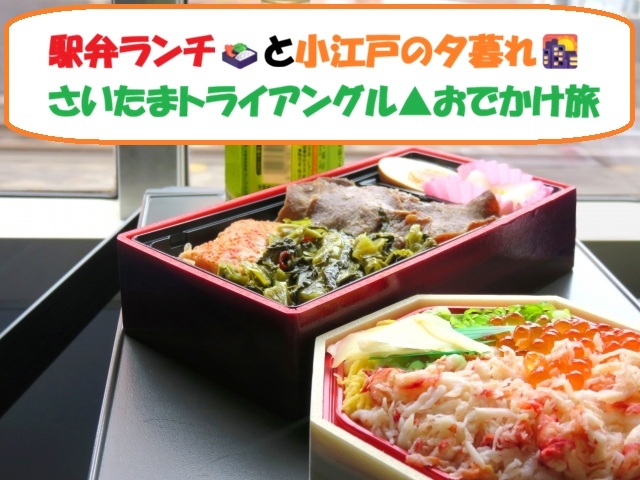 【20代主催】駅弁ランチ🍱と小江戸の夕暮れ🌇さいたまトライアングル▲おでかけ旅