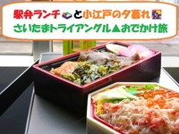 【20代主催】駅弁ランチ🍱と小江戸の夕暮れ🌇さいたまトライアングル▲おでかけ旅