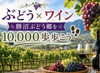 9/23🍇【勝沼ぶどう郷を1万歩歩こう！】ぶどう×ワインを楽しむ秋の日帰り旅🍷