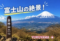 10/11【初心者歓迎】富士山が絶景の金時山！帰りは、ススキの鑑賞も！