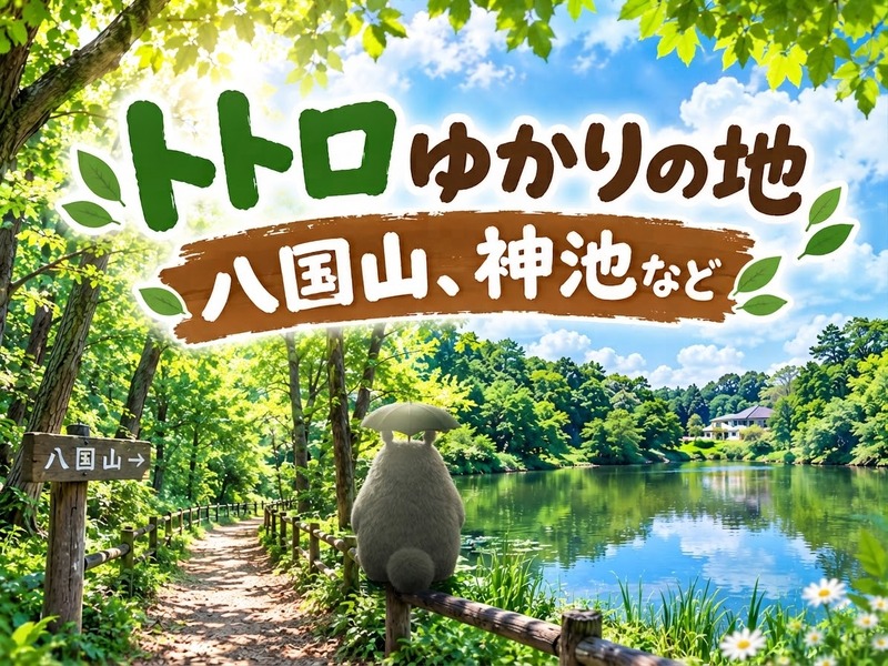 10/10 トトロゆかりの地（八国山緑地・新山手病院）・北山公園をハイキングしよう！