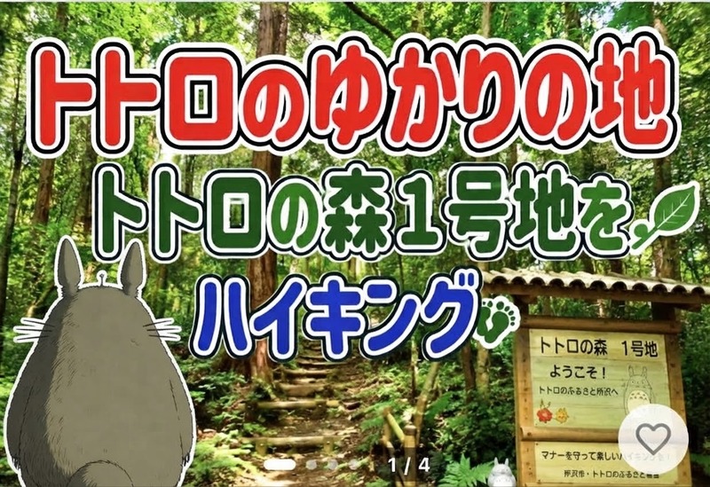 10/10【のんびりハイキング】トトロの森１号地、狭山不動尊、狭山湖ハイキングを楽しもう！