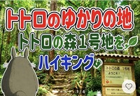10/10【のんびりハイキング】トトロの森１号地、狭山不動尊、狭山湖ハイキングを楽しもう！