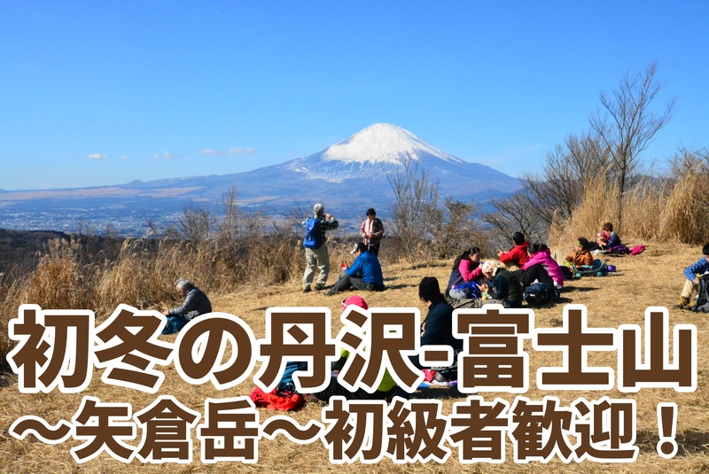 初級者歓迎、矢倉岳〜【⭐️たまトレオリジナル企画】富士山・箱根・丹沢を一望！金太郎のふるさと・矢倉岳トレッキング