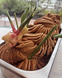 【表参道】野菜×無添加素材の“地球にやさしいジェラートを食べながら緑の広場でおしゃべりカフェ会♪